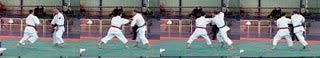 nihon taijitsu